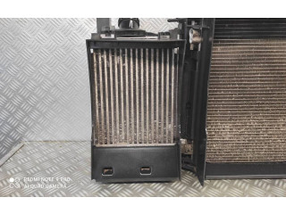 Вентилятор радиатора 214815012R Dacia Sandero