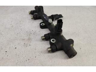 Топливная рампа 56909, 0445214010   Peugeot 306   для двигателя RHY (DW10TD)