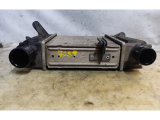 Интеркулер 8200471885-A Renault Clio III