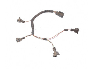 Комплект форсунок Renault Clio III