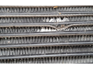 Вентилятор радиатора 158935000B, 1589350 Tesla Model X