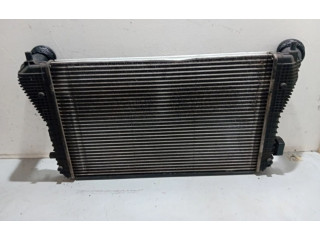 Интеркулер     Skoda Octavia Mk2 (1Z) 