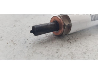 Vstřikovač 0445110419 Fiat Freemont 939B5000