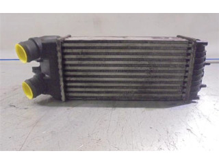 Интеркулер 9645965180, 874964GJ Citroen Xsara Picasso