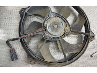 Вентилятор радиатора 300000801 Citroen C4 Grand Picasso