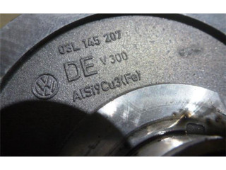 Vstřikovací čerpadlo TAMDEN, 3L145207   Seat Ibiza IV (6J,6P)     