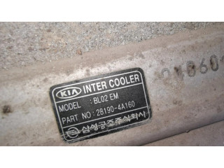 Интеркулер  281904A160   KIA Sorento 2.5