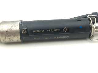 Vstřikovač 166000786R, 02702230622 Renault Austral H5F