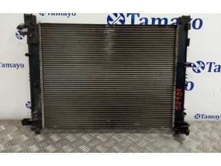 Вентилятор радиатора Dacia Sandero III