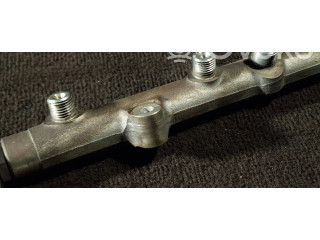 Топливная рампа 005808, 010725 Rover 75