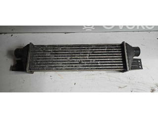 Интеркулер     SsangYong Rexton 