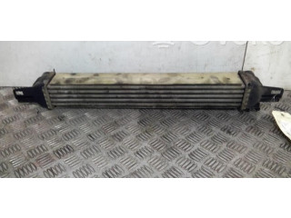 Интеркулер  00000384L7   Citroen Nemo 