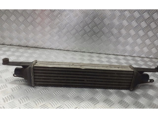 Интеркулер     Fiat Punto (188) 