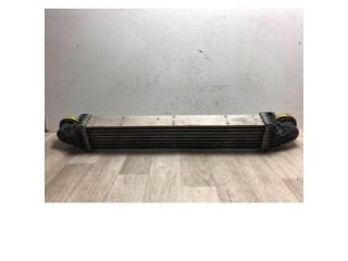 Интеркулер  2115001102, 2115001102   Mercedes-Benz E AMG W211 