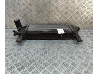 Интеркулер 14461EB360 Nissan Pathfinder R51