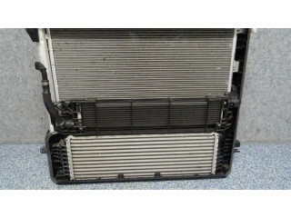 Комплект радиатора