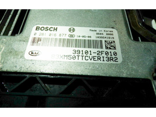 Блок управления двигателя 391012F010, 391162F010   KIA Sorento