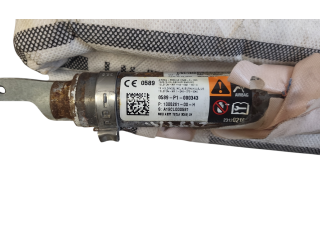 Боковая подушка безопасности 0589P1000343, 23120219 Tesla Model S