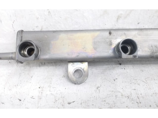 Топливная рампа Mitsubishi Outlander