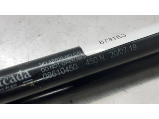 Пружина (пружины) задней крышки