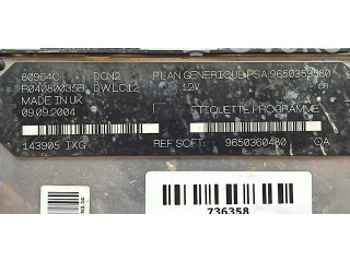 Блок управления 9650360480, DCN2-DWLC2 Citroen Berlingo