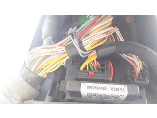 Блок комфорта 9650664080 Citroen Xsara