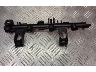 Топливная рампа 8200604620 Renault Clio III