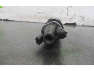 Форсунка 9430030212, 9430030212 Tata Safari D/483DLTC55