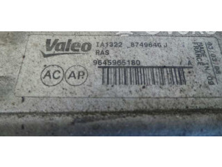 Интеркулер IA1322, 874964GJ Citroen Xsara Picasso 1.6