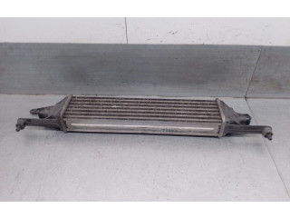 Интеркулер 55700449, 55700449 Fiat Grande Punto
