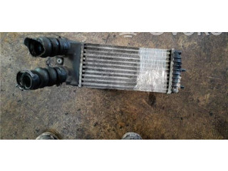 Интеркулер Citroen Berlingo