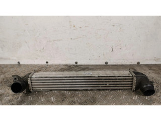 Интеркулер 1751850690402 Mini Cooper Countryman R60 1.6