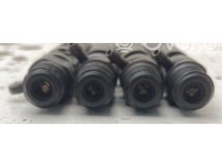 Форсунка 8200365186, 8200365186    Renault Clio III   