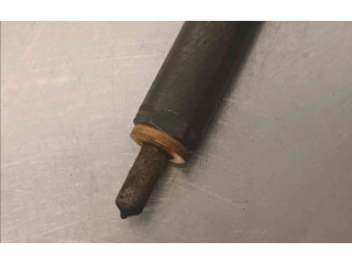 Форсунка 166000897R    Renault Clio III   