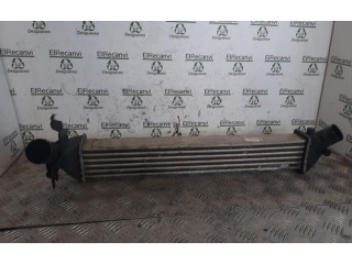 Интеркулер  8200245599   Renault Clio III 