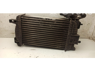 Интеркулер     Opel Meriva B 