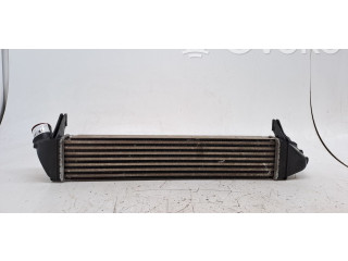 Интеркулер 8200409045 Dacia Logan I