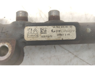 Vstřikovací lišta 9685297580, 9670076780 Mazda 5