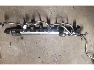 Топливная рампа 9670890580, DW12CTED4   Land Rover Range Rover Evoque L538 2.2 