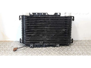 Интеркулер Mitsubishi Montero