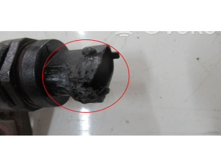 Топливная рампа 55234039, 616671 Fiat Freemont для двигателя 939B5000