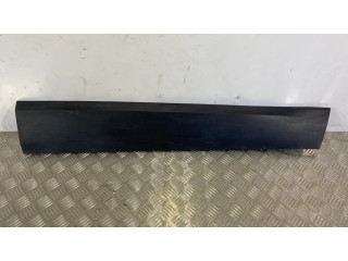 Передняя отделка дверей (молдинги)