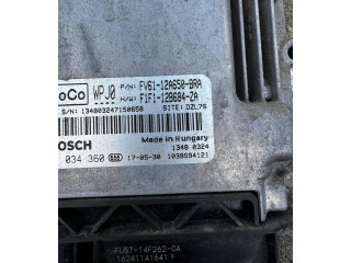 Блок управления двигателя F1F112B684ZA, FV61-12A650-BRA   Ford Transit -  Tourneo Connect
