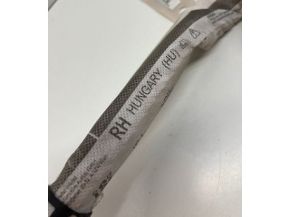 Боковая подушка безопасности 8R0880742J, 0589P10005   Audi Q5 SQ5