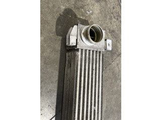 Интеркулер     Citroen DS4 