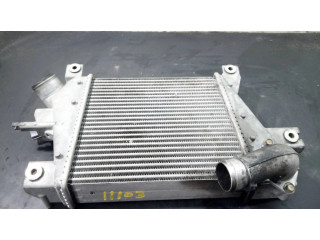 Интеркулер D2052B17, P2-A11-12 Nissan X-Trail T30 2.2