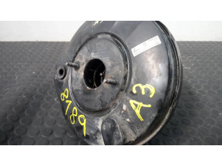 Пузырь тормозного вакуума