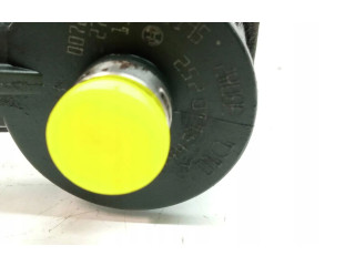 Форсунка 0445110252, HDI    Citroen Nemo   