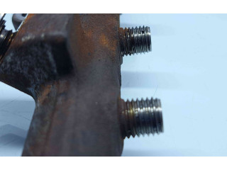 Топливная рампа 8200704212, A2C27000234 Renault Scenic III - Grand scenic III