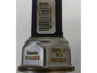 Топливная рампа 9681909680, 9814383880   Peugeot Expert   для двигателя RH02